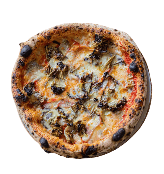 Trevisana - Radicchio special